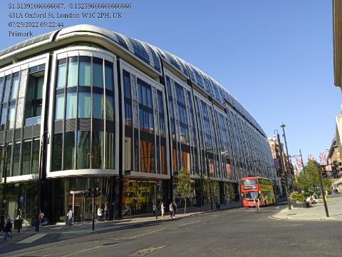 Langelands vilde heste