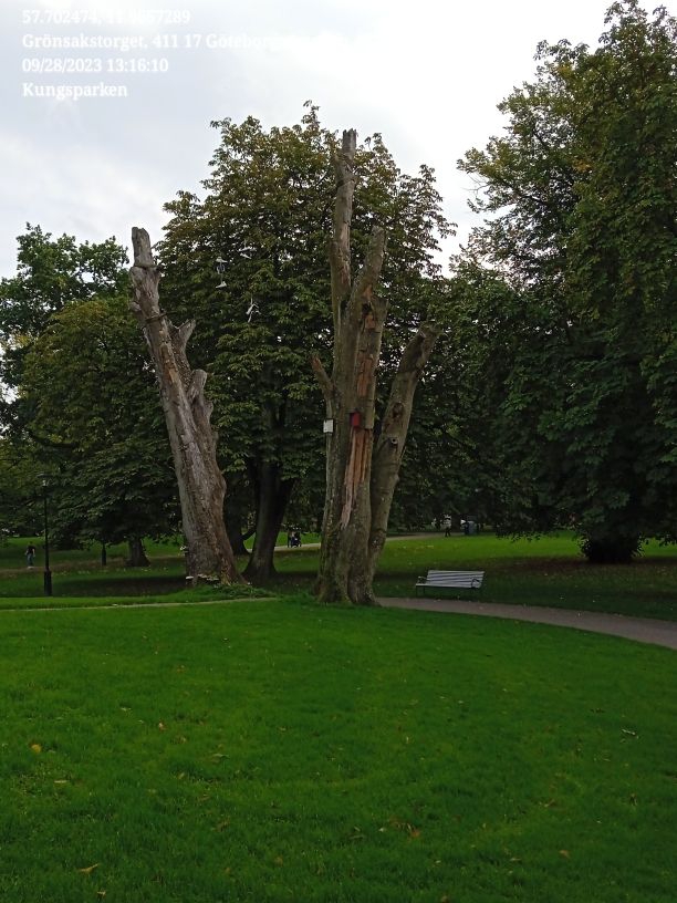 Kungsparken