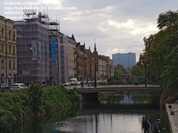 Davidshallsbron